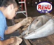 Gas Tank Repair